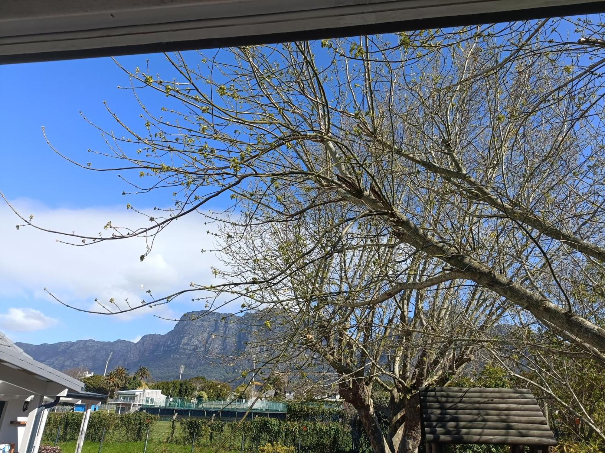 Happy Days, Claremont *